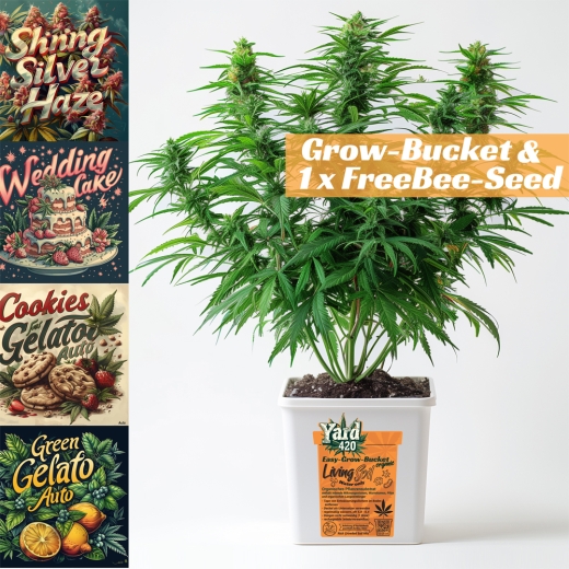 Grow Bucket Living Soil organic